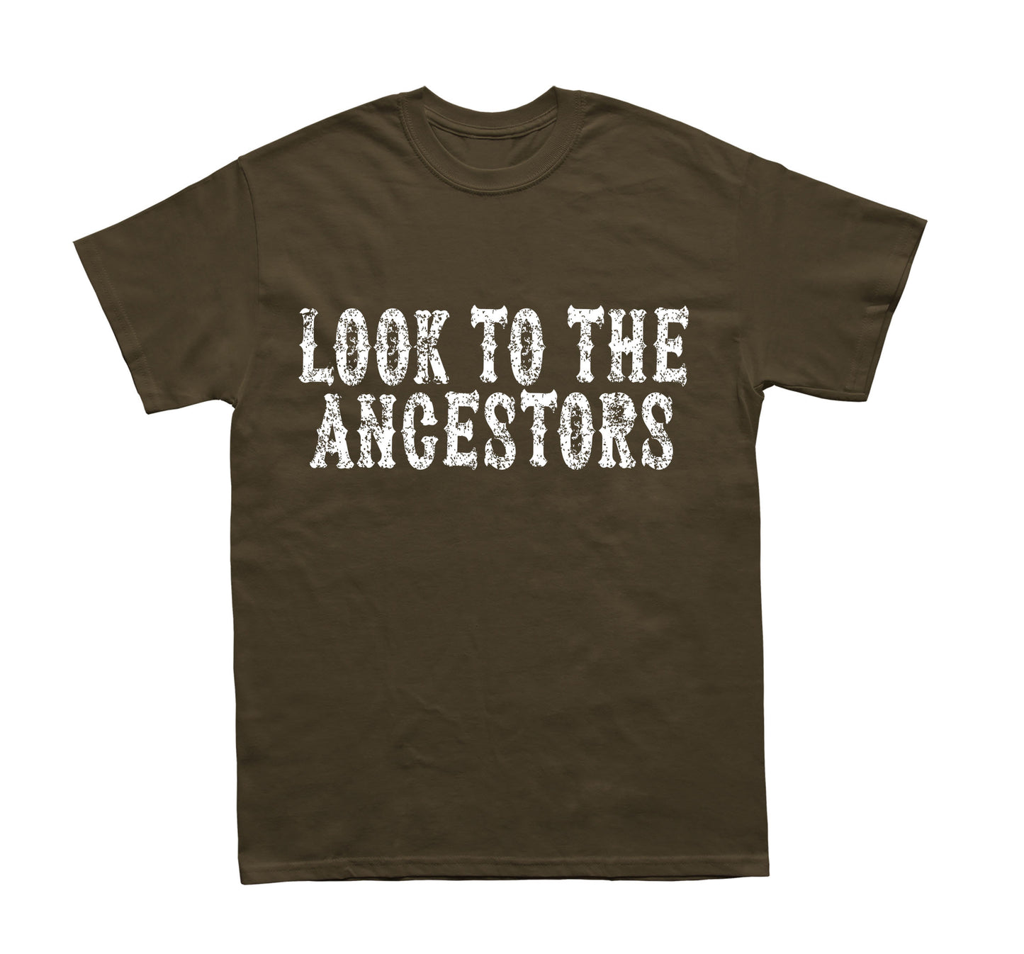 Look To The Ancestors Shirt